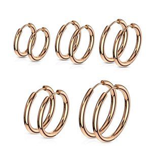 Pair of 316L Stainless Steel Hinge Action Seamless Hoop Earrings/ Rose Gold IP